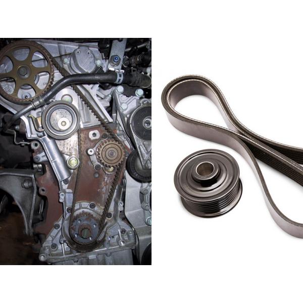 Timing belt (chain)